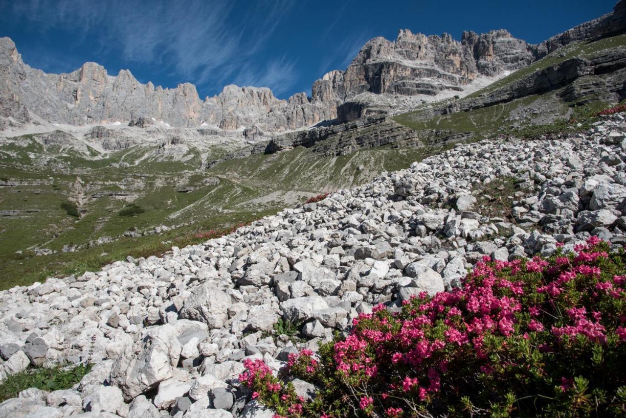 B&B Fontanella San Lorenzo Dorsino Eksteriør bilde